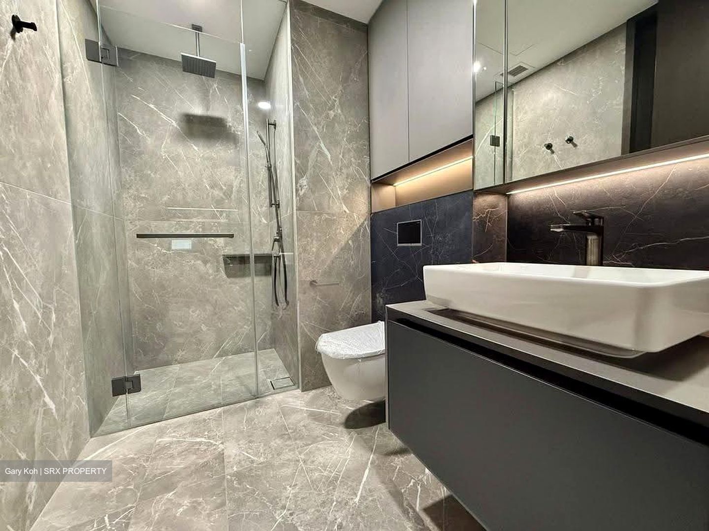 Irwell Hill Residences (D9), Apartment #636961881